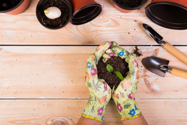 Still life with gardening objects