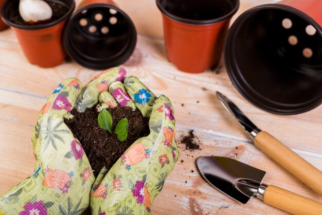 Still life with gardening objects