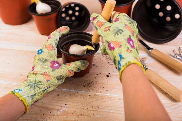 Still life with gardening objects