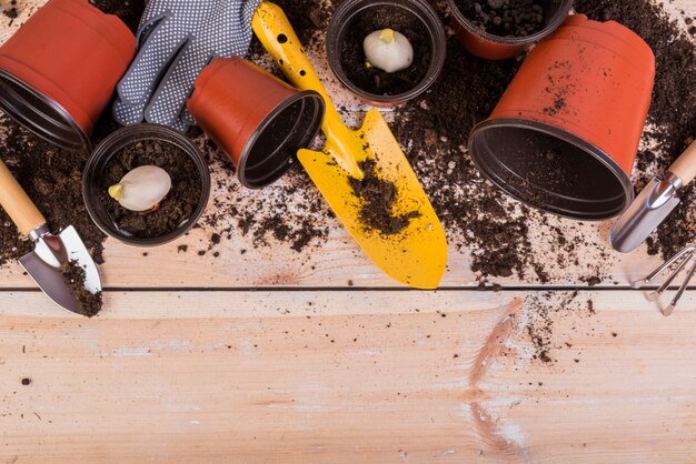 Still life with gardening objects