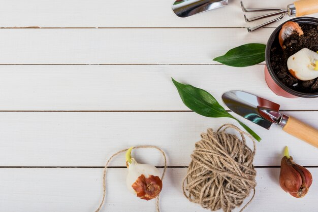 Still life with gardening objects