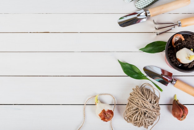 Free photo still life with gardening objects