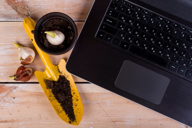 Free photo still life with gardening objects