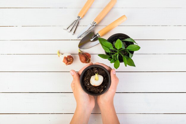 Still life with gardening objects