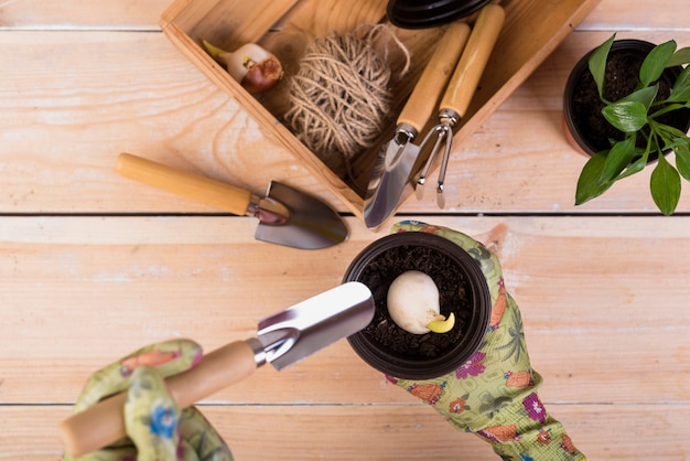 Still life with gardening objects