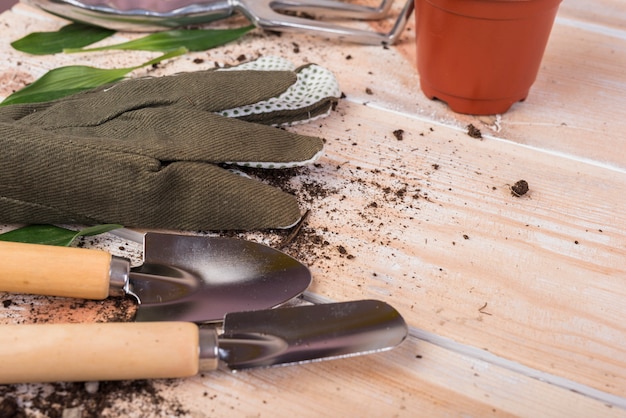 Still life with gardening objects