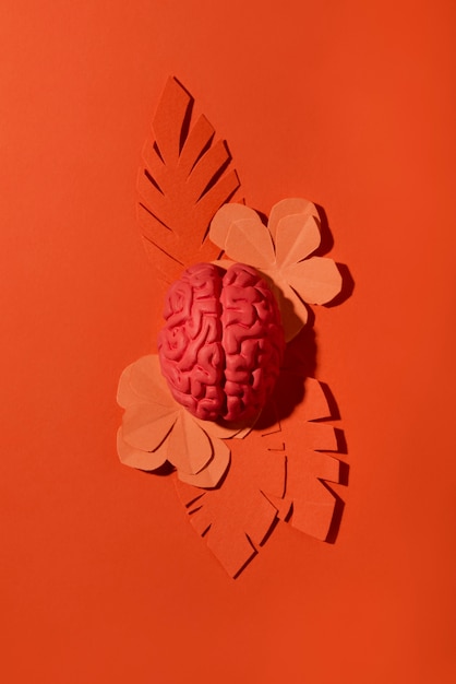 Free photo still life with human brain and leaves