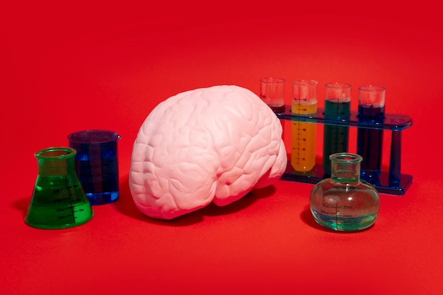 Still life with human brain