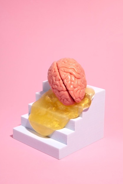 Натюрморт с человеческим мозгом