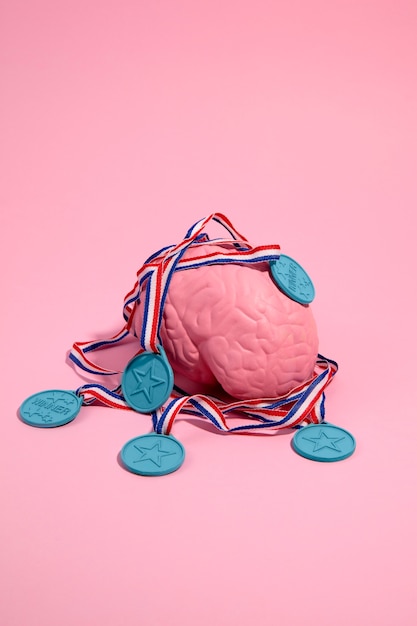 Free photo still life with human brain