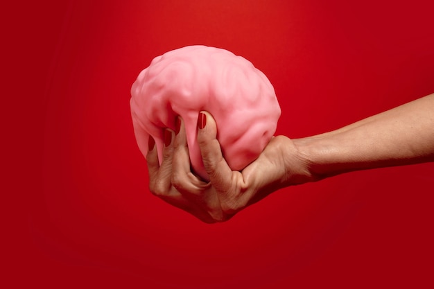 Free photo still life with human brain