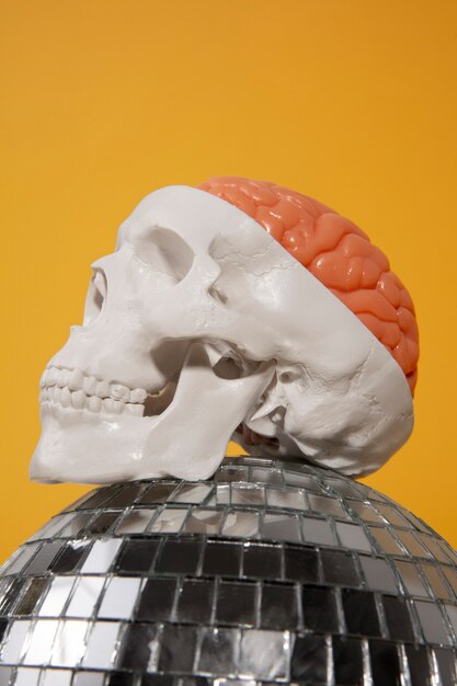 Still life with human brain