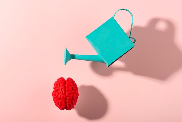 Free photo still life with human brains and watering can