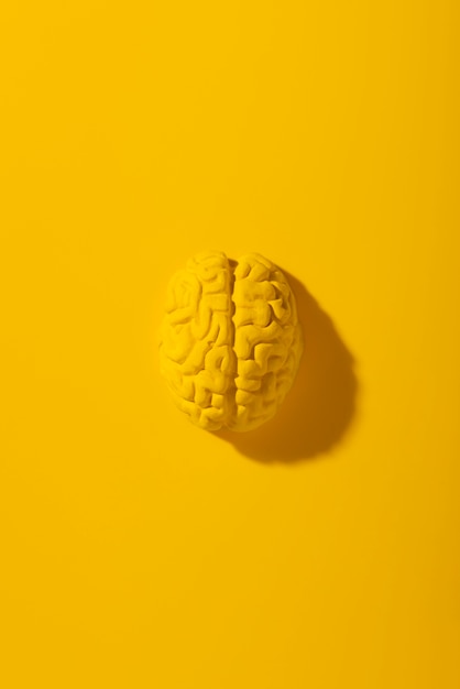 Still life with human brains