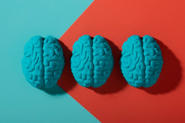 Still life with human brains