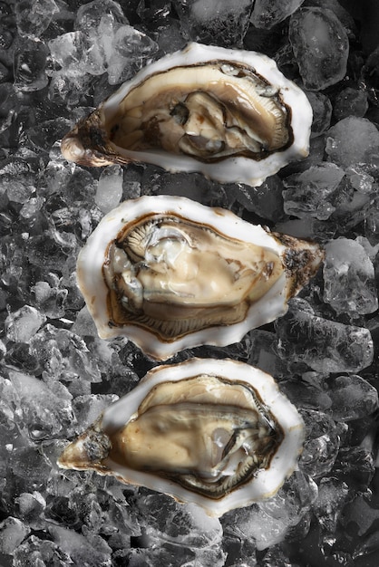 Free photo still life with oysters ready to eat