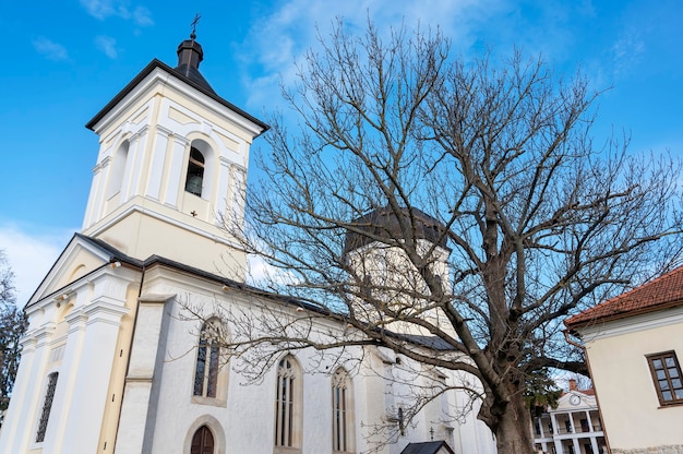 カプリアーナ修道院の中庭にある石造りの教会。裸の木や建物、モルドバの天気の良い日