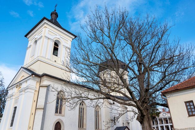 The Stone Church at inner court of the Capriana monastery. Bare trees and buildings, good weather in Moldova