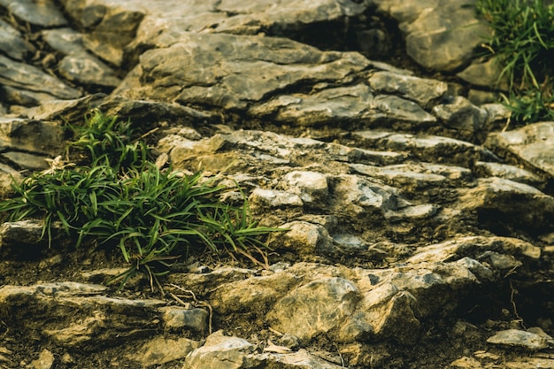 Foto gratuita pietra oggetto nessuno natura simbolo granito