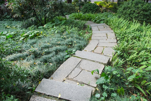 Stone path with grass growing up