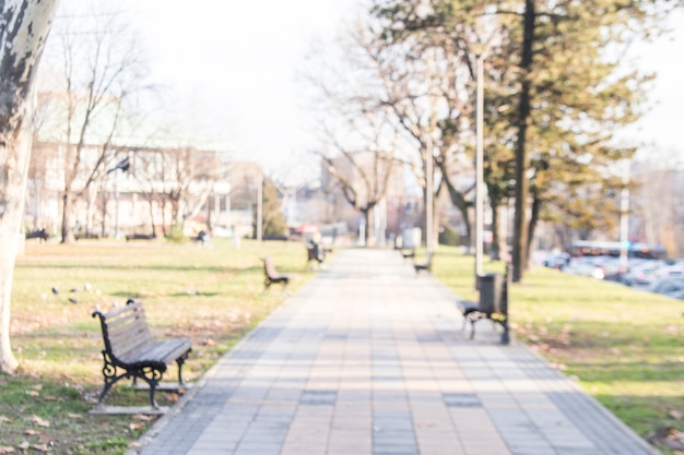 Free photo stone pathway in the park during summer