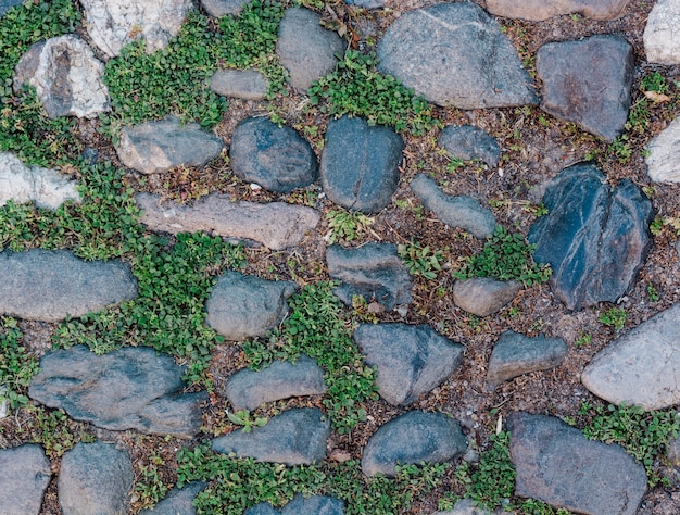 Stone surface with grass