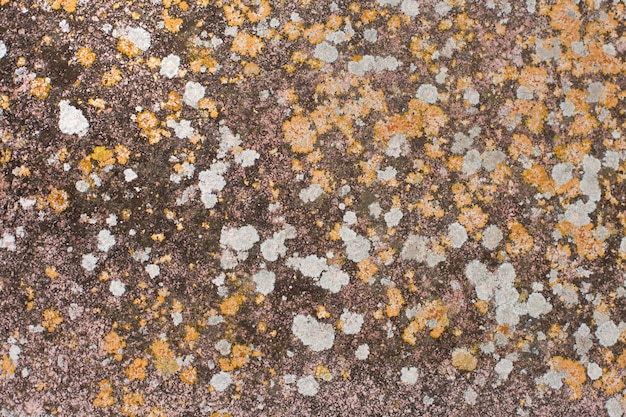 stone texture