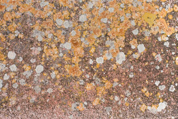 stone texture