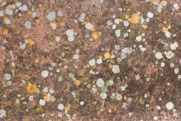 Free photo stone texture