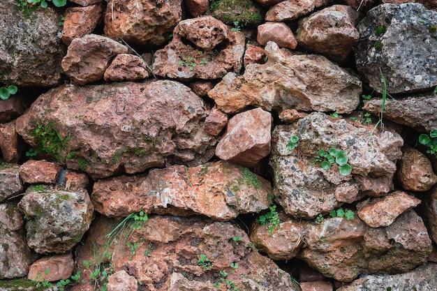 オリーブの木立の背景のアイデアの土地の区画に生の石の境界線で作られた石の壁