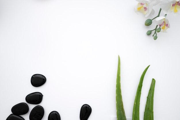 Stones, leaves and flower