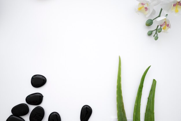 Stones, leaves and flower