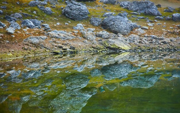 カレッツァ湖カレルゼーユネスコ世界自然遺産のノヴァレヴァンテに石や木が映し出されています