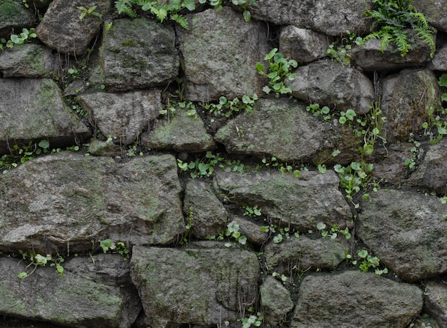 녹색 벽과 돌