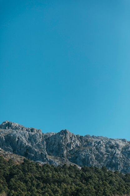 Stony mountain and trees with copy-space 