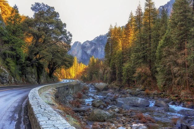 Stony river bed beside a road surrounded by trees in the Yosemite National Park