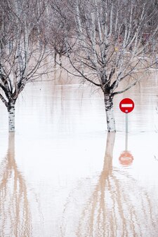 A stop traffic sign and trees underwater after a strong flooding in zaragoza spain