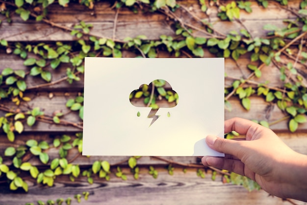 Integrating Sustainability into Brand Identity