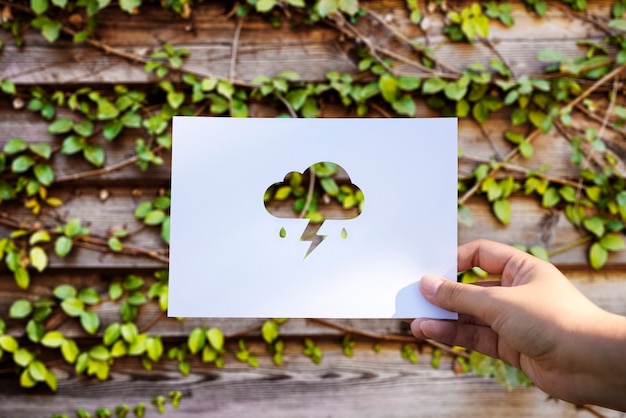 Sustainable Practices in TV Advertising Eco-Friendly Strategies for Modern Brands