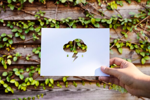 Sustainable Practices in TV Advertising Eco-Friendly Strategies for Modern Brands