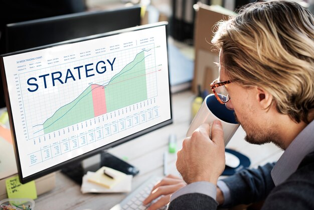 Snapshot Biz Strategies