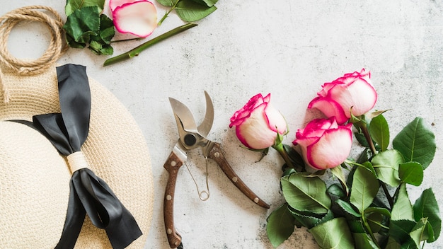 Straw hat; secateurs and rose twigs on concrete backdrop