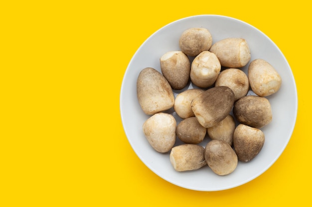 노란색 배경에 흰색 접시에 짚 버섯입니다.