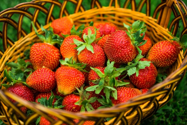 Free photo strawberries in a basket