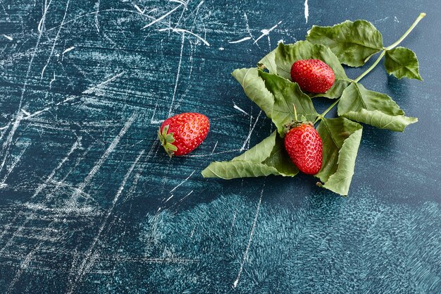 Strawberries on green leaves. 