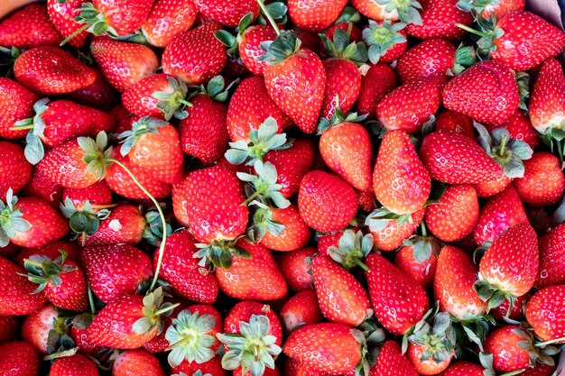strawberries surface strawberry