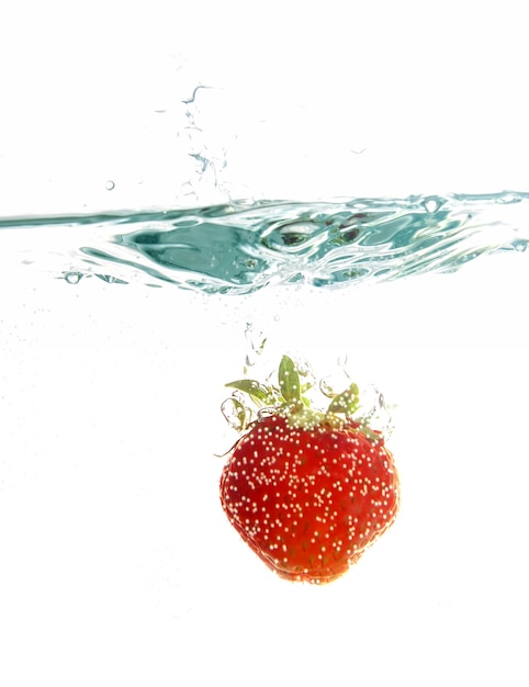 무료 사진 물에 딸기