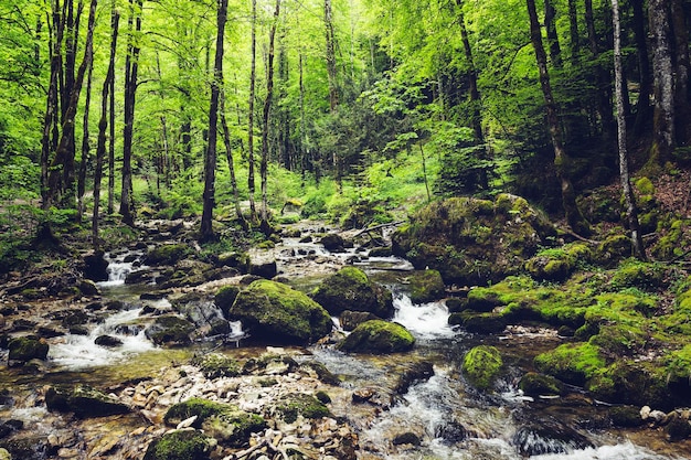 Ручей в Cascade du Herisson во Франции