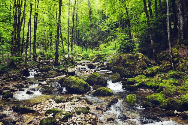 Ручей в Cascade du Herisson во Франции