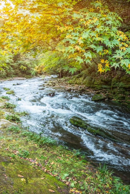 Free photo stream flowing through rocks